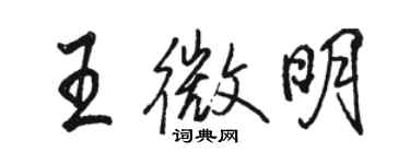 骆恒光王微明行书个性签名怎么写