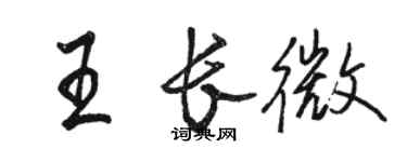 骆恒光王长微行书个性签名怎么写