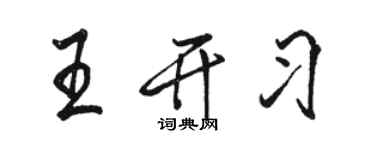 骆恒光王开习行书个性签名怎么写