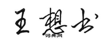 骆恒光王想书行书个性签名怎么写