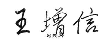 骆恒光王增信行书个性签名怎么写