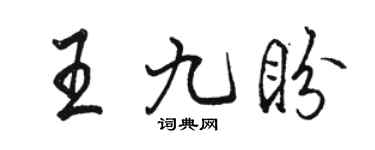 骆恒光王九盼行书个性签名怎么写
