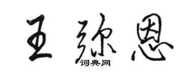 骆恒光王弥恩行书个性签名怎么写