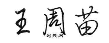 骆恒光王周苗行书个性签名怎么写
