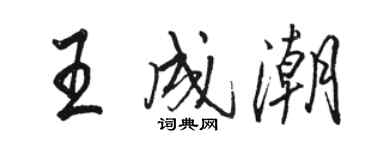 骆恒光王成潮行书个性签名怎么写