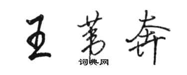 骆恒光王苇奔行书个性签名怎么写