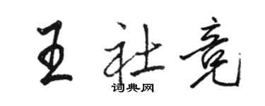 骆恒光王社竞行书个性签名怎么写