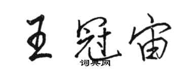 骆恒光王冠宙行书个性签名怎么写