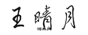 骆恒光王晴月行书个性签名怎么写