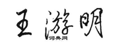 骆恒光王游明行书个性签名怎么写