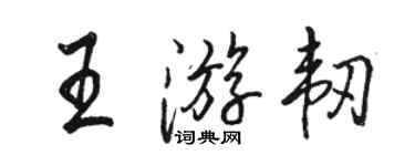 骆恒光王游韧行书个性签名怎么写