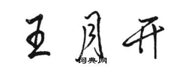 骆恒光王月开行书个性签名怎么写