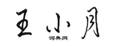骆恒光王小月行书个性签名怎么写