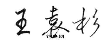 骆恒光王袁杉行书个性签名怎么写