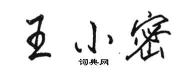骆恒光王小密行书个性签名怎么写