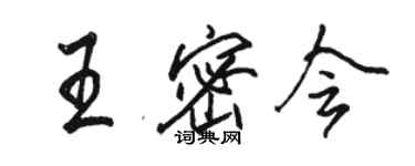 骆恒光王密会行书个性签名怎么写