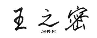 骆恒光王之密行书个性签名怎么写