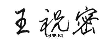骆恒光王祝密行书个性签名怎么写