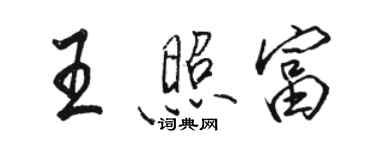 骆恒光王照富行书个性签名怎么写
