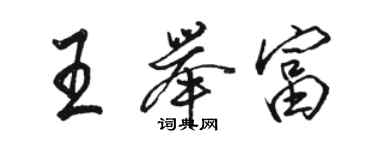 骆恒光王举富行书个性签名怎么写