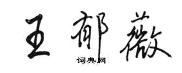 骆恒光王郁薇行书个性签名怎么写