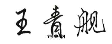 骆恒光王青舰行书个性签名怎么写