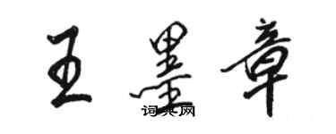 骆恒光王墨章行书个性签名怎么写