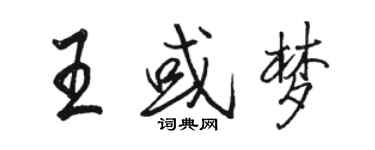 骆恒光王或梦行书个性签名怎么写