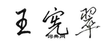 骆恒光王宪翠行书个性签名怎么写