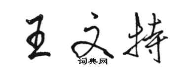 骆恒光王文特行书个性签名怎么写