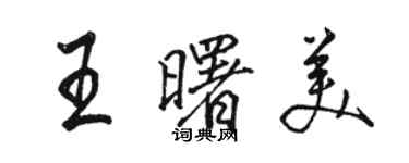 骆恒光王曙美行书个性签名怎么写
