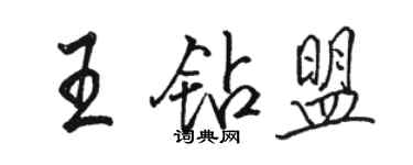 骆恒光王钻盟行书个性签名怎么写