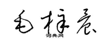 梁锦英毛梓晨草书个性签名怎么写