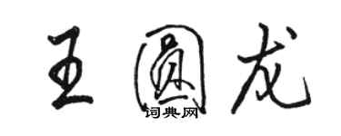 骆恒光王圆龙行书个性签名怎么写