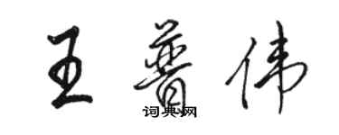骆恒光王普伟行书个性签名怎么写