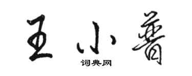 骆恒光王小普行书个性签名怎么写