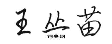 骆恒光王丛苗行书个性签名怎么写