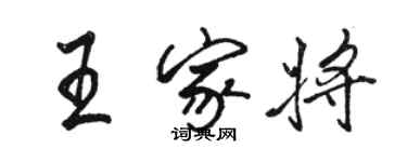 骆恒光王家将行书个性签名怎么写