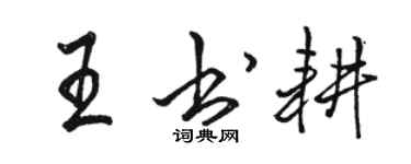 骆恒光王书耕行书个性签名怎么写