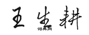 骆恒光王生耕行书个性签名怎么写