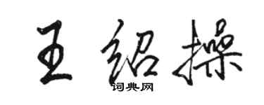 骆恒光王绍操行书个性签名怎么写