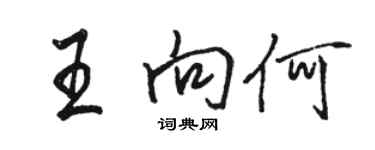 骆恒光王向何行书个性签名怎么写