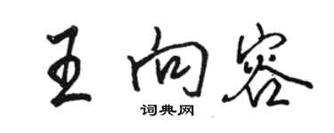 骆恒光王向容行书个性签名怎么写