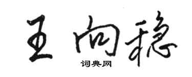 骆恒光王向稳行书个性签名怎么写