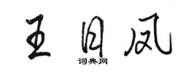 骆恒光王日凤行书个性签名怎么写