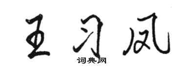 骆恒光王习凤行书个性签名怎么写