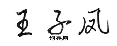 骆恒光王子凤行书个性签名怎么写