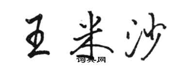 骆恒光王米沙行书个性签名怎么写