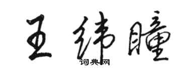 骆恒光王纬瞳行书个性签名怎么写