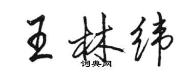 骆恒光王林纬行书个性签名怎么写
